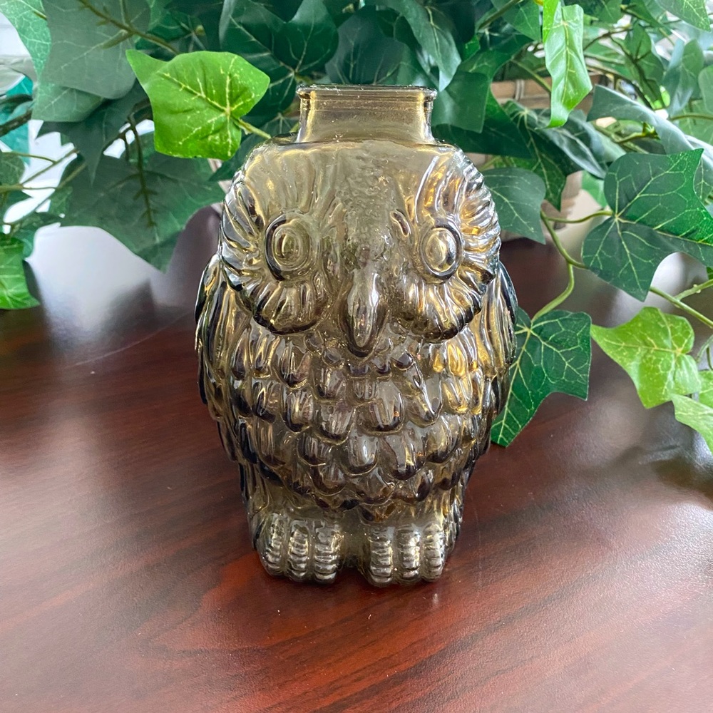 VINTAGE LIBBEY WISE OLD OWL MOLDED GLASS COIN BANK